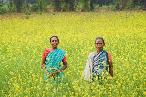 Rural Jharkhand